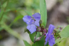 DSC_2550.webp