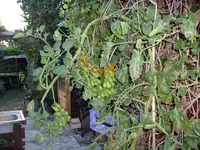 S7302422.webp