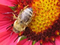 130809 002_Bildgröße ändern.webp