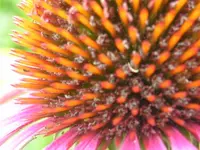 130809 009_Bildgröße ändern.webp