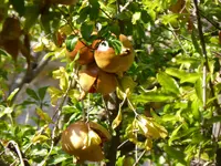 P1070402Palermo.webp