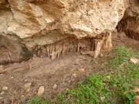 P1070534Zingaro.webp