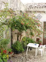 P1070556Erice.webp
