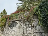 P1070557Erice.webp