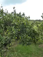 P1070621Mittagspause.webp