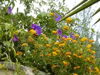 P1070629Mittagspause.webp