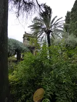 P1070867Taormina.webp