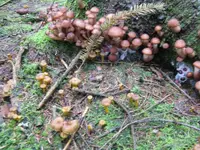 002_1024x768.JPG