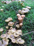 005_576x768.JPG