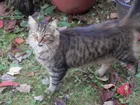 PA070511.webp