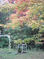PA070512.webp