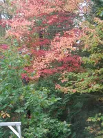 PA070513.webp