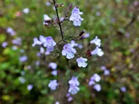 DSCF0197 (2).webp