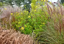 DSCF0199 (2).webp