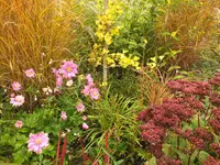 DSCF0201 (2).webp
