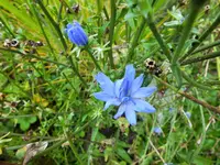 DSCF0203 (2).webp