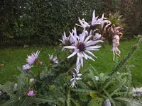 DSCF0204 (2).webp