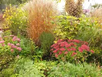 DSCF0207 (2).webp