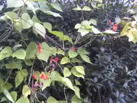BILD8316.webp
