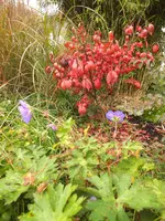 DSCF0217 (2).webp