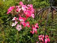 DSCF0222 (2).webp