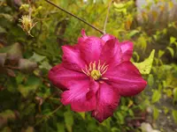 DSCF0223 (2).webp