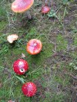 003_576x768.JPG