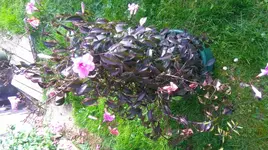 bild2.webp