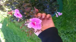bild3.webp