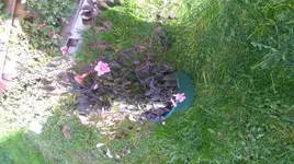 bild4.webp