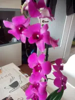 IMG_20170925_140917.jpg
