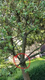Bild2.webp