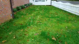 CIMG4894.webp