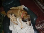 DSC02392.JPG