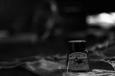 _MG_9265.webp