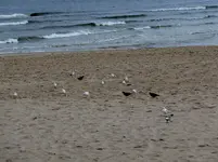 P1010778.webp