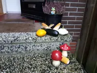 20171010_174901.webp