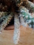 IMG_20171010_173733.jpg