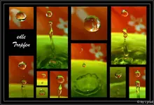 C__edle Tropfen.webp