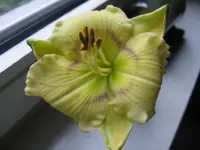 009_1024x768.webp