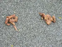 DSCF1967.webp