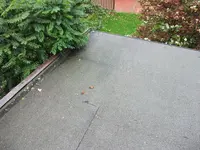 DSCF1969.webp