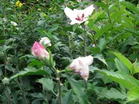 IMG_5804.webp