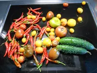 DSCN5809.webp