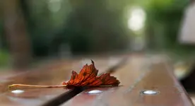 _MG_9164.webp