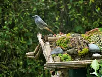 DSCF0226 (2).webp