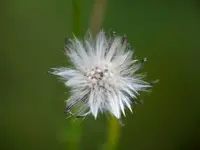 image012.jpg