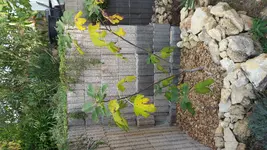 IMG_20171012_170611.webp