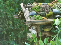 DSCF0258 (2).webp