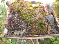 DSCF0261.webp